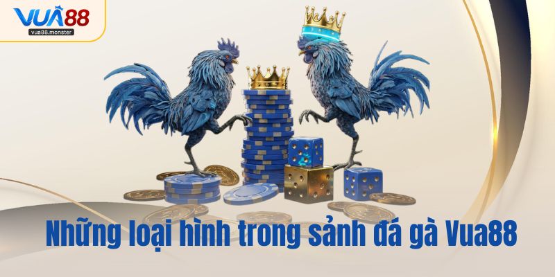 Những loại hình trong sảnh đá gà Vua88